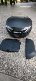 Bauletto Shad SH39