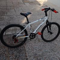mountain bike da ragazzo