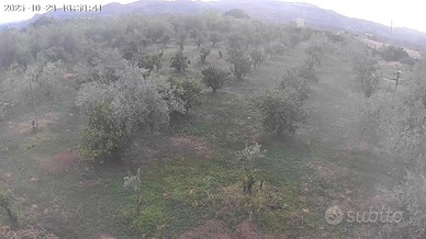 Immobile con ristorante pizzeria con terreno