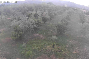 Immobile con ristorante pizzeria con terreno