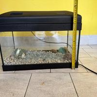 Acquario