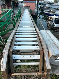 Nastro trasportatore X molluschi 12mt inox