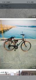 Bicicletta uomo