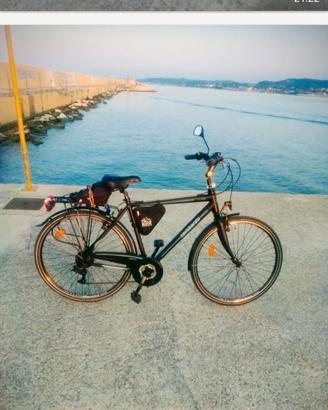 Bicicletta uomo