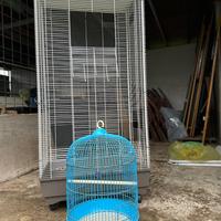 Voliera gabbua uccelli