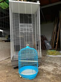 Voliera gabbua uccelli