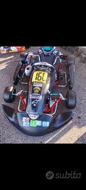 Go kart Mini 60 Parolin Opportunity / Tm mini gr3