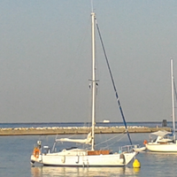 Alpa 950