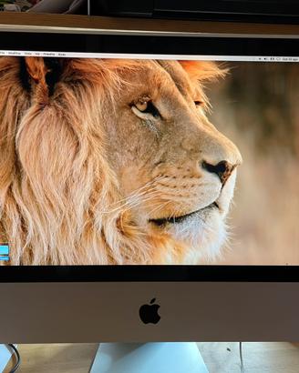 iMac 20'' - 4GB Ram - 500GB SSD