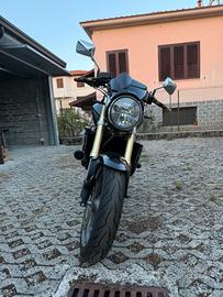 HORNET 600