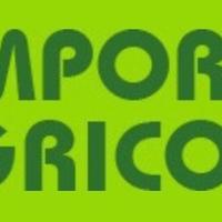 Generatore di corrente efco psi 1650