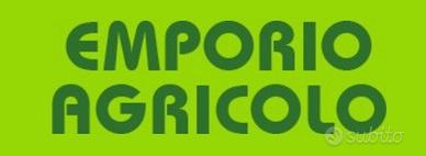 Generatore di corrente efco psi 1650