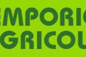 Generatore di corrente efco psi 1650