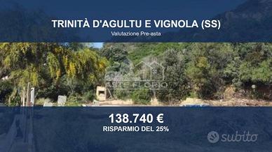 Immobile in asta di 3578 m² a Trinità d'Agultu e V