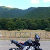 Kawasaki z750 A2