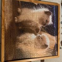 Puzzle gatti
