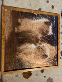 Puzzle gatti