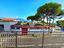 Immagine 14