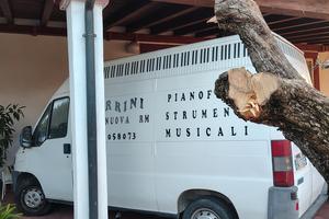 Ducato rialzato fiat