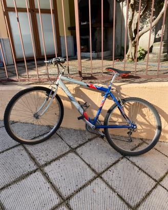 Mtb uomo