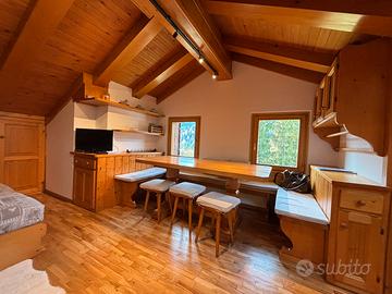 Luminosa mansarda con vista sulle Dolomiti