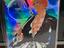 Immagine 2
