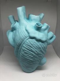 Vaso cuore anatomico