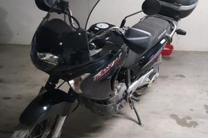 Honda Transalp 650 anno 2005