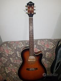Ibanez AE25TS