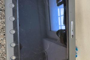 Raymariner e120 con cartografico 