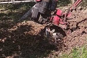 Zappatrice più 2 ruote di gomma