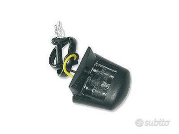 Luce targa posteriore