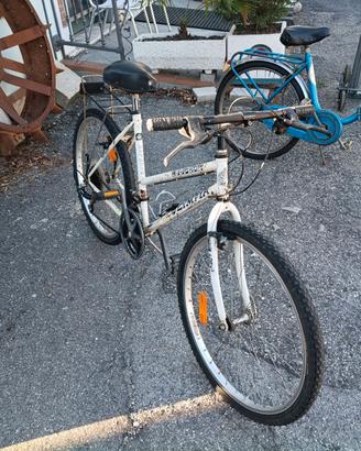Bicicletta Leopard Olympia 26"