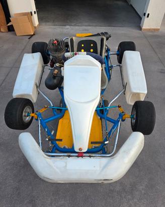 kart Parilla 100cc 2t funzionante 