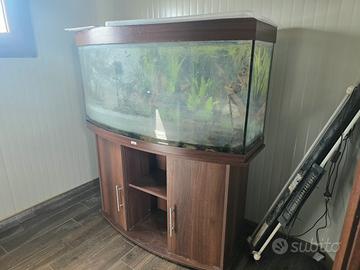 acquario juwel