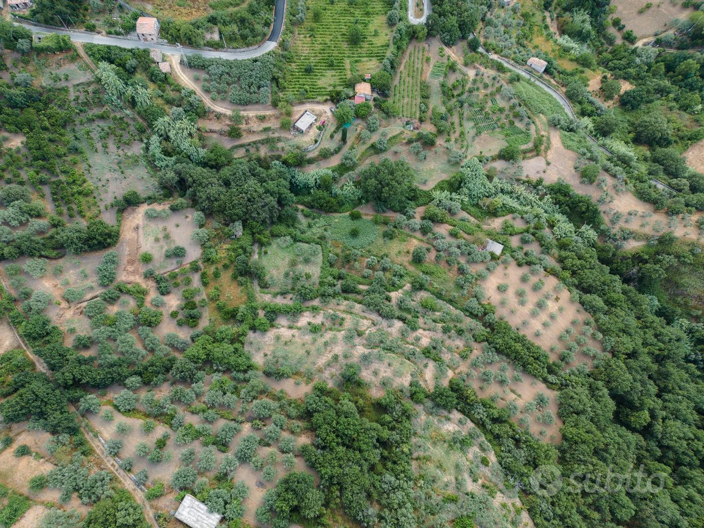 INVESTIMENTO STORICO E PRODUTTIVO Terreno 2ettari - Vista 4