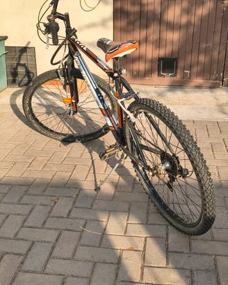 bicicletta 