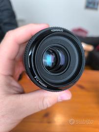 Yongnuo 50mm f1.8 Canon