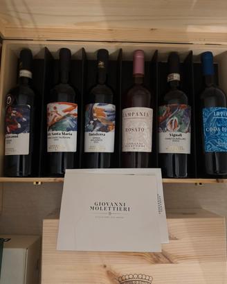 Vini da collezione Giovanni Mollettieri Taurasi