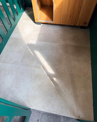 Recinto + cuccia per cane