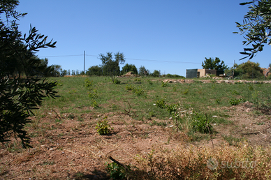 Terreno Monte Argentario