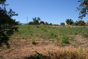 Terreno Monte Argentario