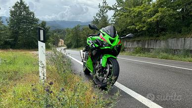 Kawasaki Ninja ZX-6r - 2024