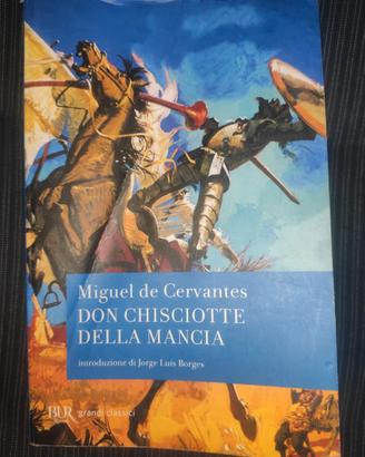 libro Don Chisciotte della Mancia - de Cervantes