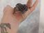 Immagine 2