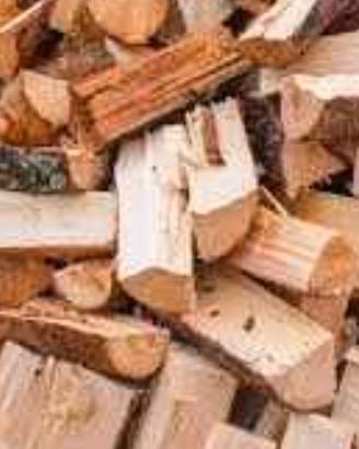 legna da ardere secca 