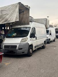 Fiat ducato anno 2011