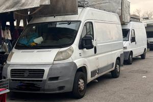 Fiat ducato anno 2011