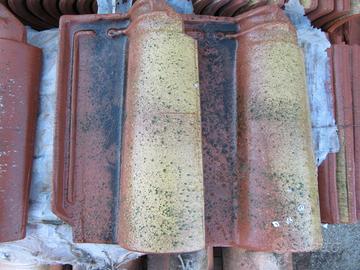 Tegole portoghesi Possagno anticate