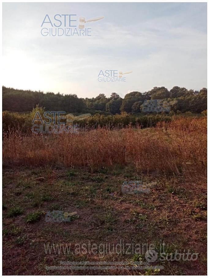 Appartamento – Sutri, Viterbo - Vista 4